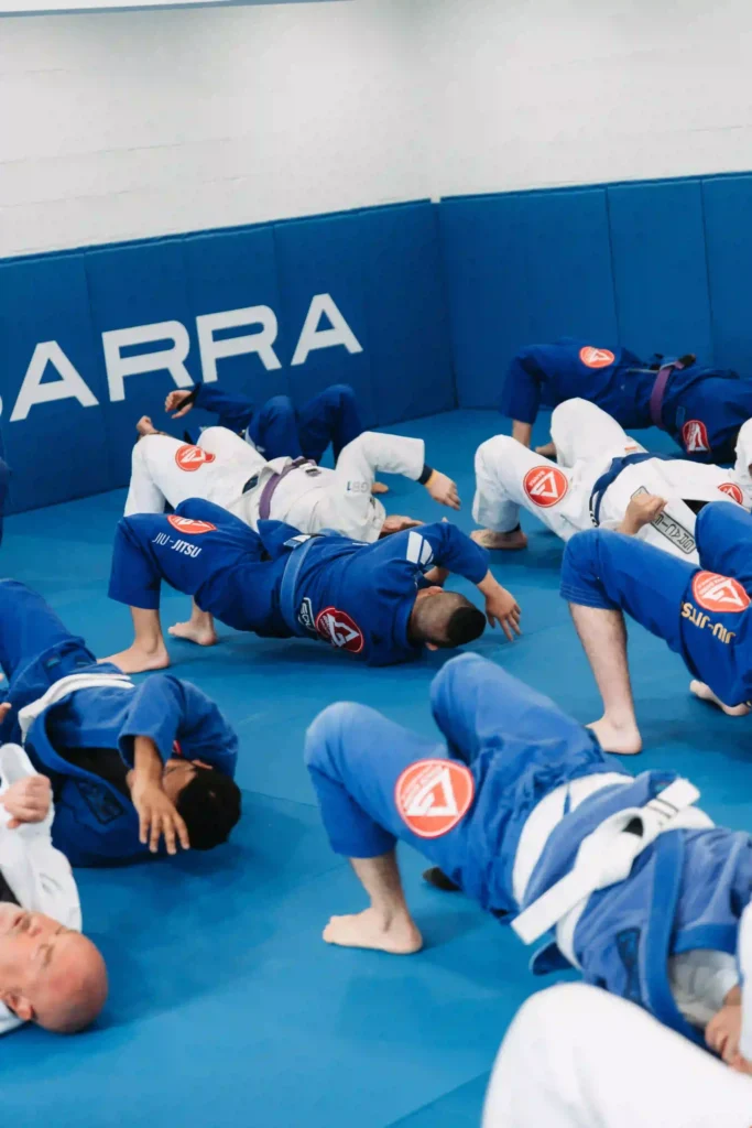 brazilian jiu jitsu near me